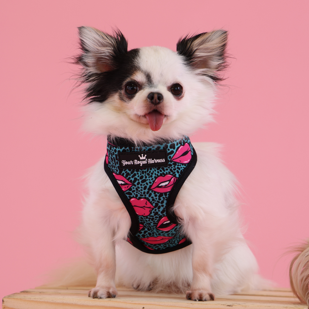 Too Glam - Reversible Harness