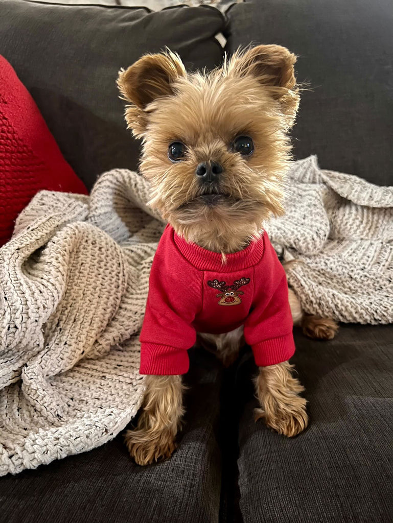 Red Reindeer Crewneck