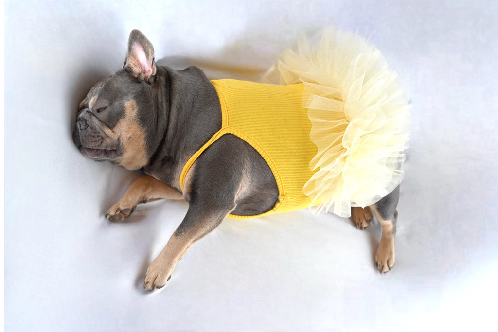 Yellow Fluffy Tutu