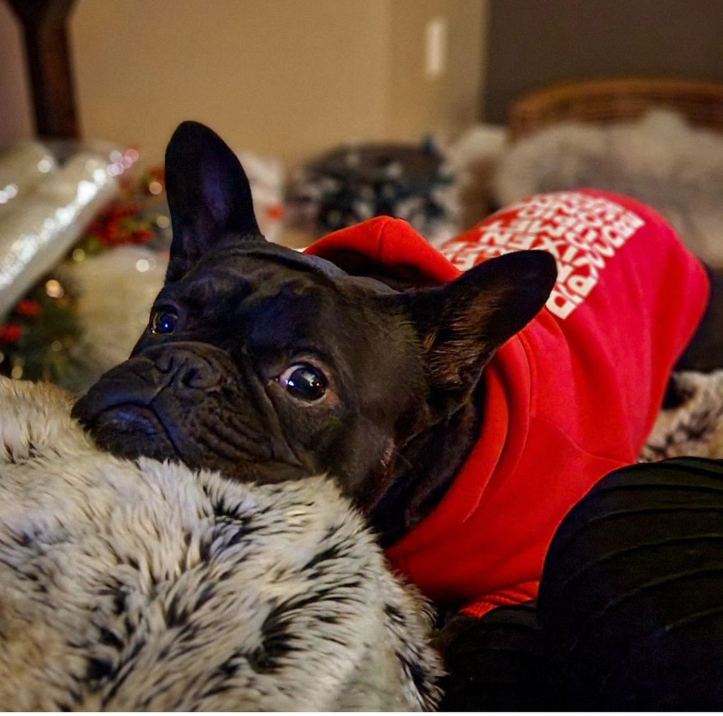 Personalized Reindeer Hoodie