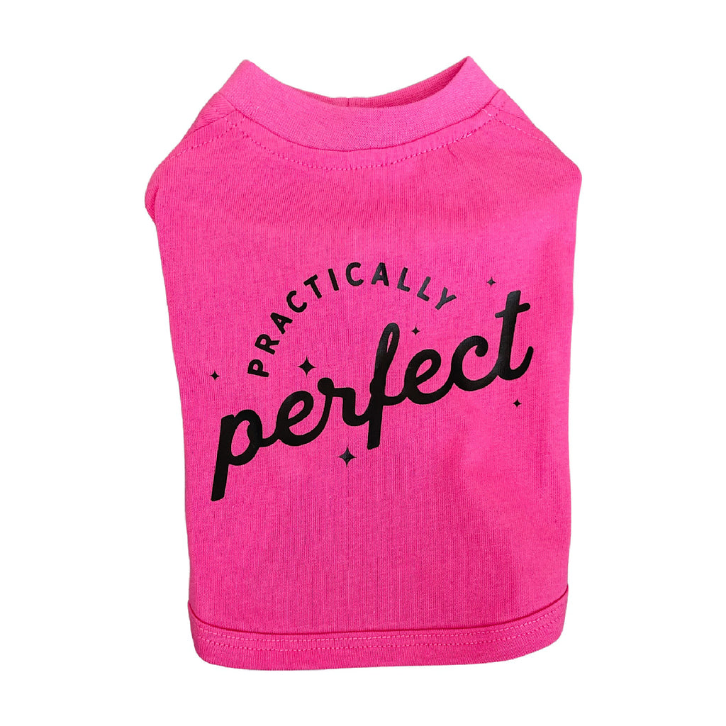 Practically Perfect T-shirt