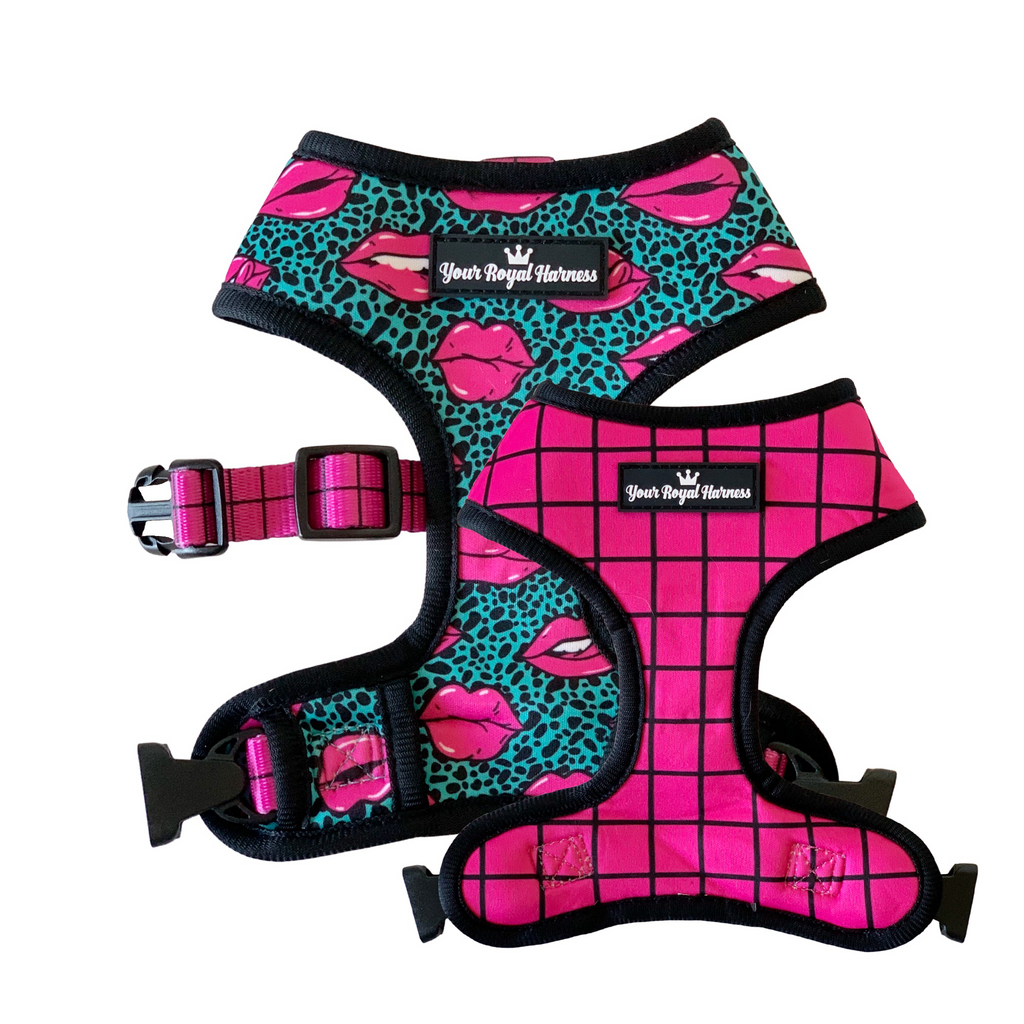 Too Glam - Reversible Harness